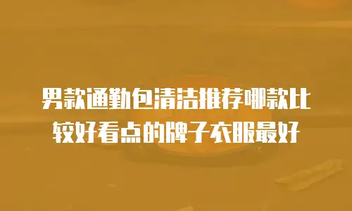 男款通勤包清洁推荐哪款比较好看点的牌子衣服最好