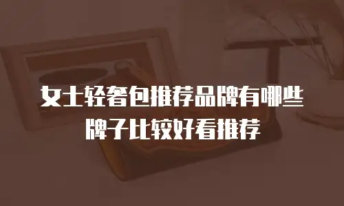 女士轻奢包推荐品牌有哪些牌子比较好看推荐
