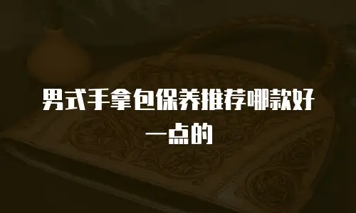 男式手拿包保养推荐哪款好一点的