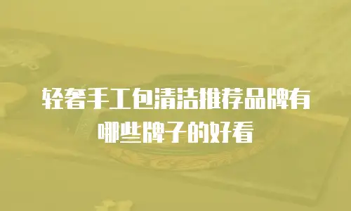 轻奢手工包清洁推荐品牌有哪些牌子的好看
