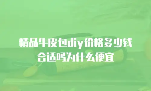 精品牛皮包diy价格多少钱合适吗为什么便宜
