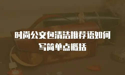 时尚公文包清洁推荐语如何写简单点概括