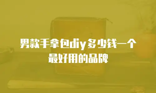 男款手拿包diy多少钱一个最好用的品牌