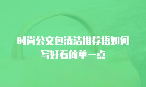 时尚公文包清洁推荐语如何写好看简单一点