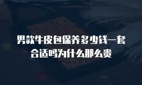 男款牛皮包保养多少钱一套合适吗为什么那么贵