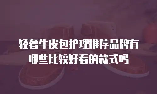 轻奢牛皮包护理推荐品牌有哪些比较好看的款式吗