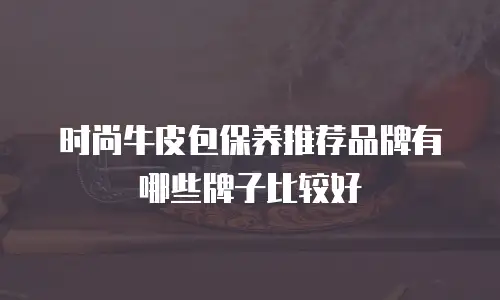 时尚牛皮包保养推荐品牌有哪些牌子比较好