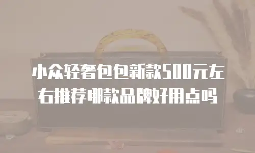 小众轻奢包包新款500元左右推荐哪款品牌好用点吗