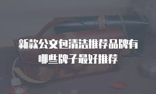新款公文包清洁推荐品牌有哪些牌子最好推荐