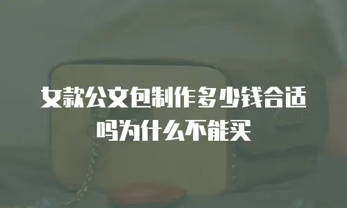 女款公文包制作多少钱合适吗为什么不能买