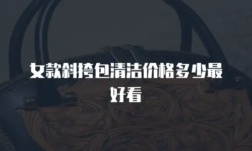 女款斜挎包清洁价格多少最好看