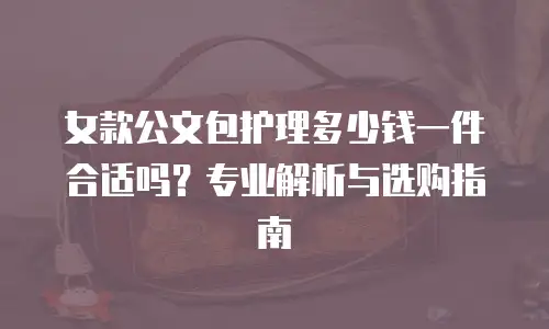 女款公文包护理多少钱一件合适吗？专业解析与选购指南