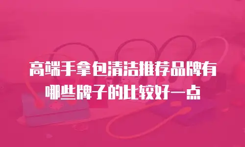 高端手拿包清洁推荐品牌有哪些牌子的比较好一点