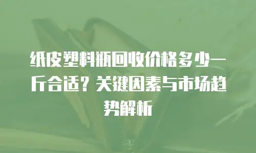 纸皮塑料瓶回收价格多少一斤合适？关键因素与市场趋势解析
