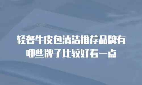 轻奢牛皮包清洁推荐品牌有哪些牌子比较好看一点