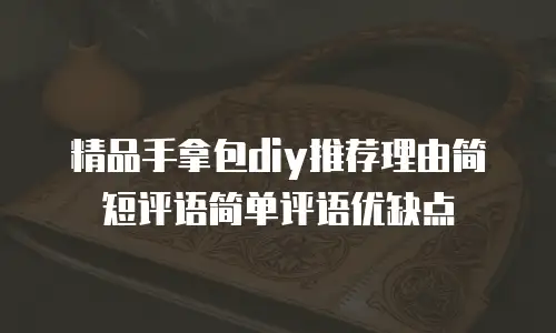 精品手拿包diy推荐理由简短评语简单评语优缺点