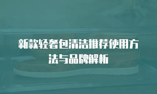 新款轻奢包清洁推荐使用方法与品牌解析
