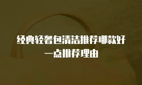 经典轻奢包清洁推荐哪款好一点推荐理由