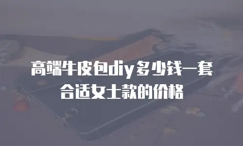 高端牛皮包diy多少钱一套合适女士款的价格