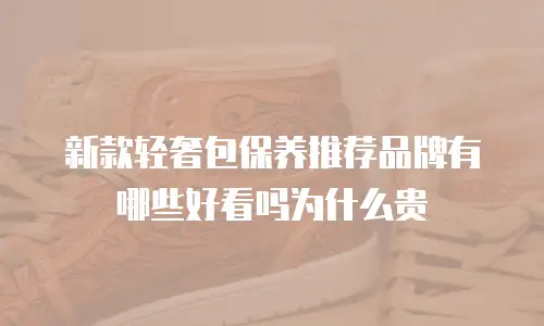 新款轻奢包保养推荐品牌有哪些好看吗为什么贵