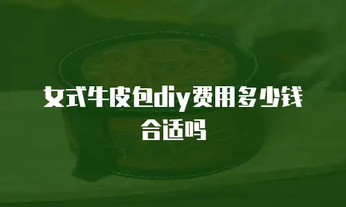 女式牛皮包diy费用多少钱合适吗