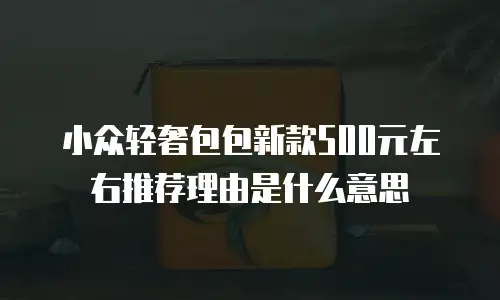 小众轻奢包包新款500元左右推荐理由是什么意思