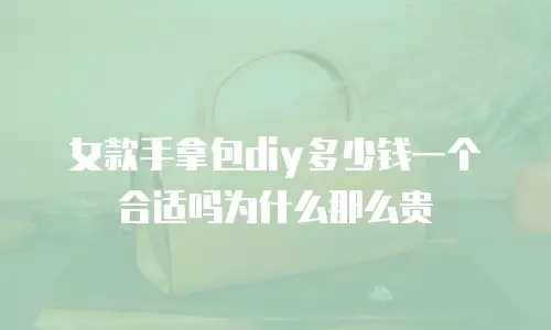 女款手拿包diy多少钱一个合适吗为什么那么贵