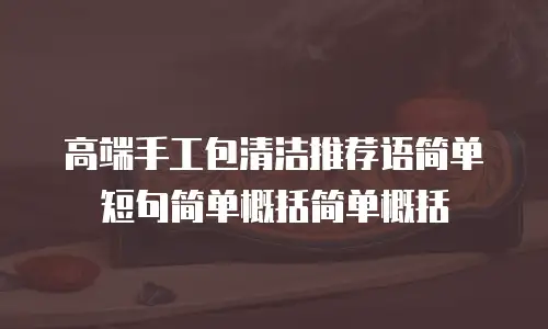 高端手工包清洁推荐语简单短句简单概括简单概括