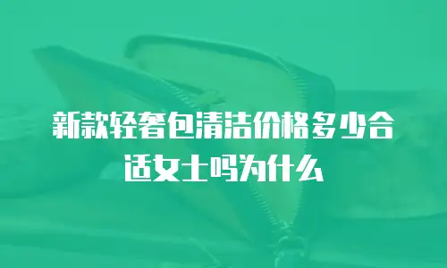 新款轻奢包清洁价格多少合适女士吗为什么