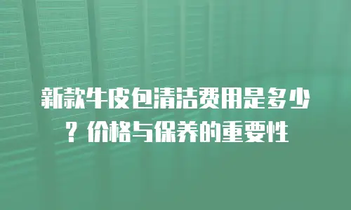 新款牛皮包清洁费用是多少？价格与保养的重要性