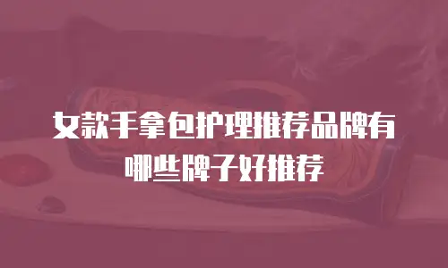 女款手拿包护理推荐品牌有哪些牌子好推荐