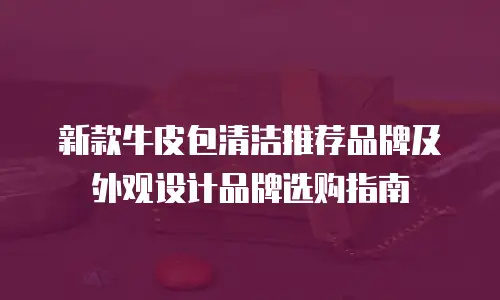 新款牛皮包清洁推荐品牌及外观设计品牌选购指南