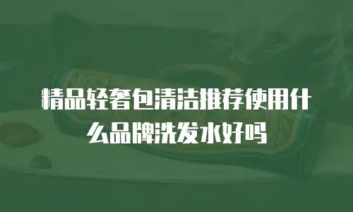 精品轻奢包清洁推荐使用什么品牌洗发水好吗