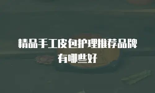 精品手工皮包护理推荐品牌有哪些好