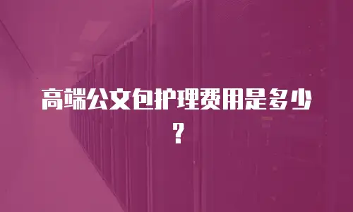 高端公文包护理费用是多少？
