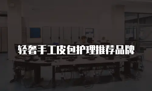 轻奢手工皮包护理推荐品牌
