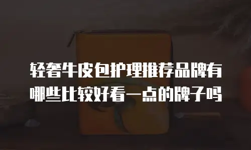 轻奢牛皮包护理推荐品牌有哪些比较好看一点的牌子吗