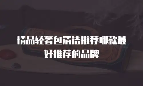 精品轻奢包清洁推荐哪款最好推荐的品牌