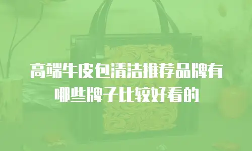 高端牛皮包清洁推荐品牌有哪些牌子比较好看的