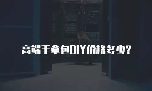 高端手拿包DIY价格多少？