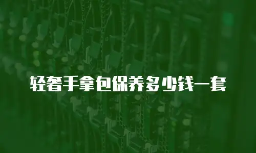 轻奢手拿包保养多少钱一套
