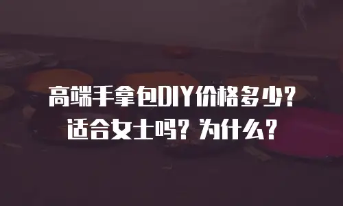 高端手拿包DIY价格多少？适合女士吗？为什么？