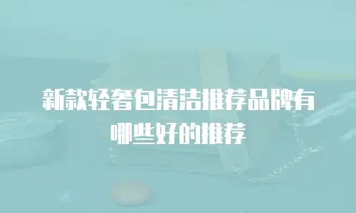 新款轻奢包清洁推荐品牌有哪些好的推荐