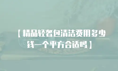 【精品轻奢包清洁费用多少钱一个平方合适吗】
