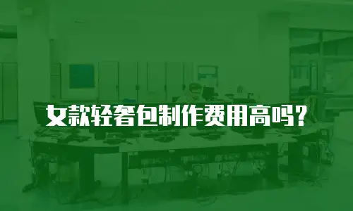 女款轻奢包制作费用高吗？