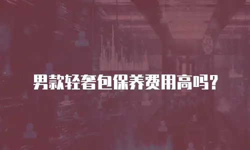 男款轻奢包保养费用高吗？
