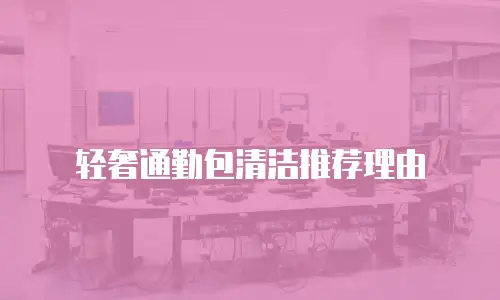 轻奢通勤包清洁推荐理由