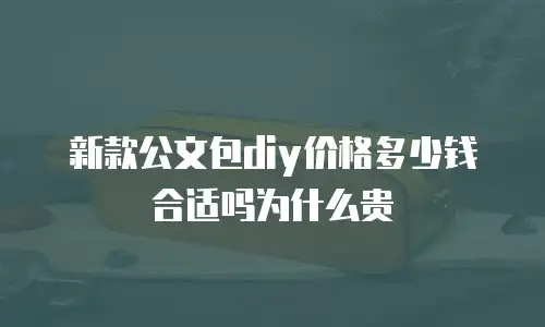 新款公文包diy价格多少钱合适吗为什么贵