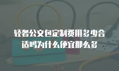 轻奢公文包定制费用多少合适吗为什么便宜那么多