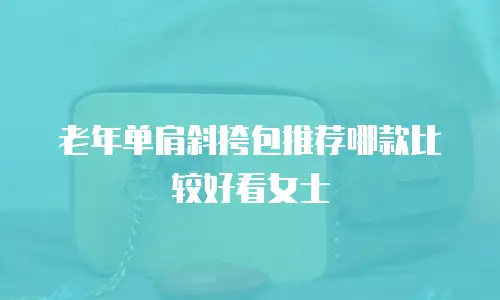 老年单肩斜挎包推荐哪款比较好看女士